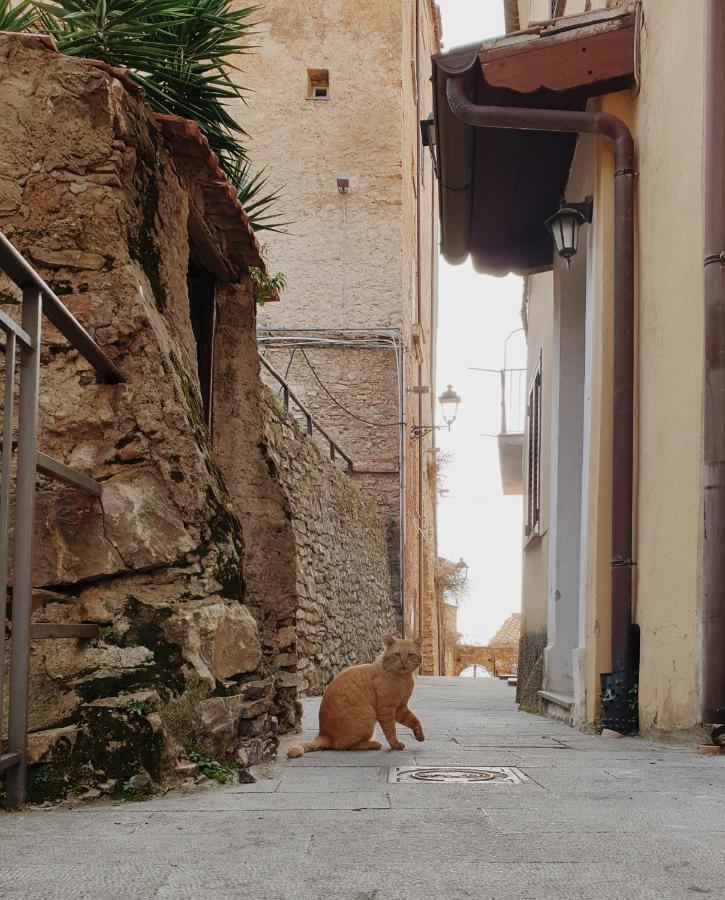 Le Sorelle - Casa Vacanze Pisciotta Luaran gambar